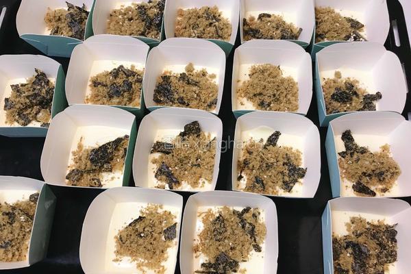 海苔肉松夹心蛋糕的做法图解20
