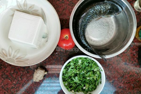 番茄鲫鱼豆腐汤的做法图解1
