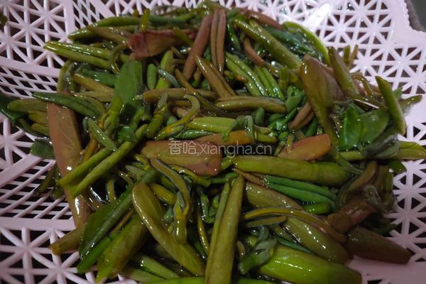 肉丝莼菜汤的做法图解1