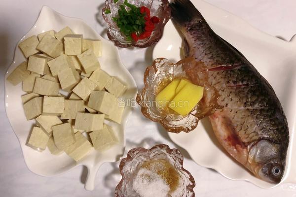 【秋季最强补钙汤品】奶白色鲫鱼豆腐汤的做法图解1