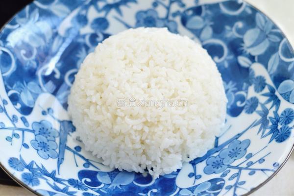 爆炒鱿鱼饭的做法图解10