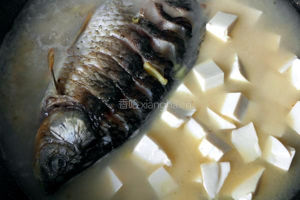 鲫鱼豆腐汤的做法图解11