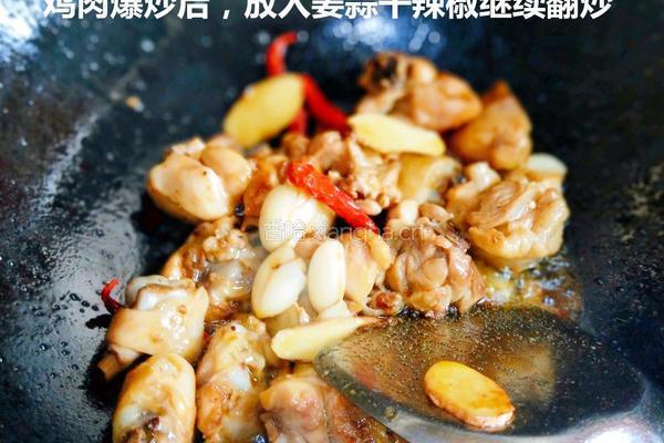 黄焖鸡的做法图解2