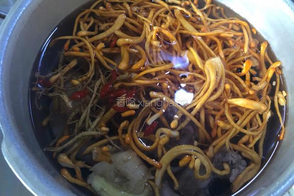 虫草花参须鸡汤的做法图解9