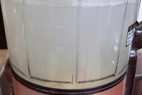 红枣鹰嘴豆奶羹(补钙补血)的做法图解4