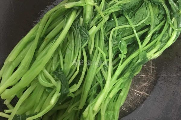 尖椒油菜的做法图解2