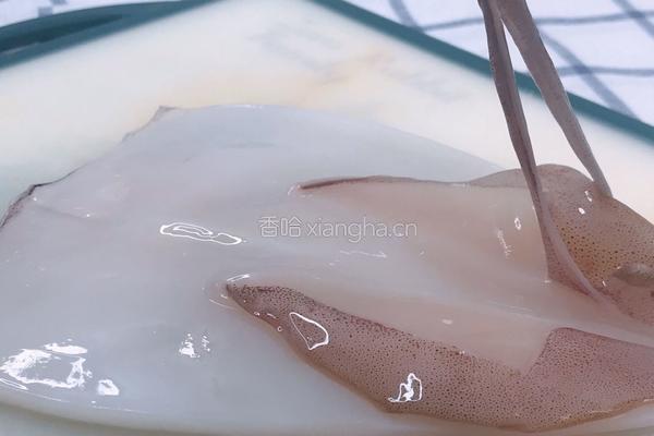 宝宝辅食 鲜嫩鱿鱼丸的做法图解1