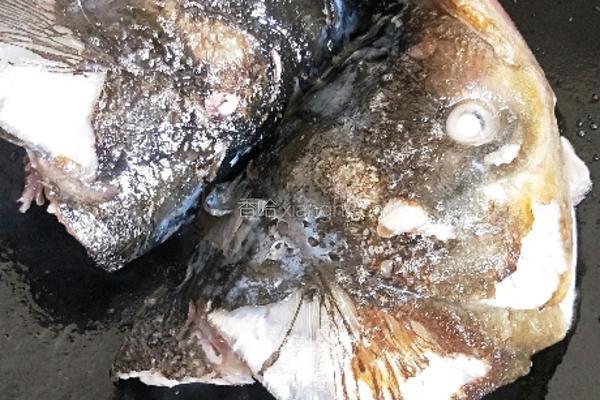 鱼头牛肉粥的做法图解1