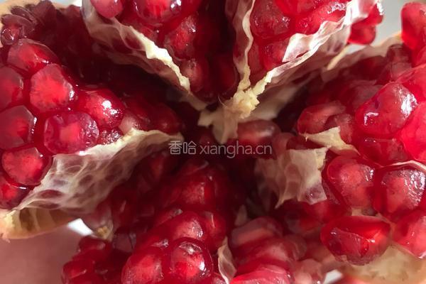 石榴汁的做法图解5
