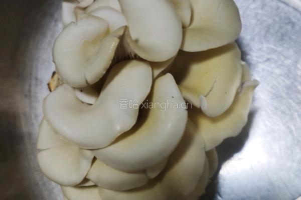 鲜菌羊杂汤的做法图解3