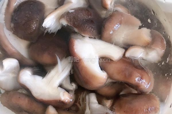 黑全麦面，素馅包子的做法图解4