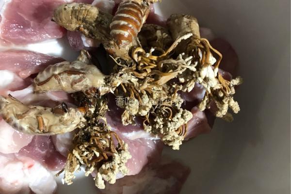 金蝉花炖健子肉（3人份）的做法图解3