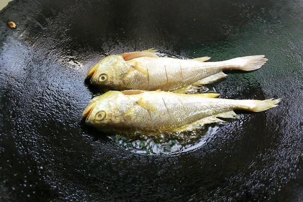 煎黄花鱼的做法图解4