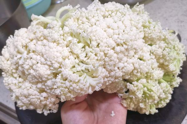 炒花菜的做法图解1