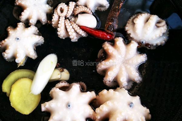 白灼章鱼仔的做法图解4