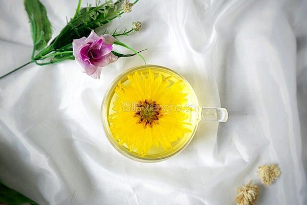 椴树蜜金丝皇菊茶的做法图解10