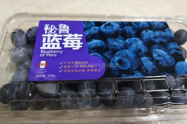 蓝莓土豆米糊的做法图解1