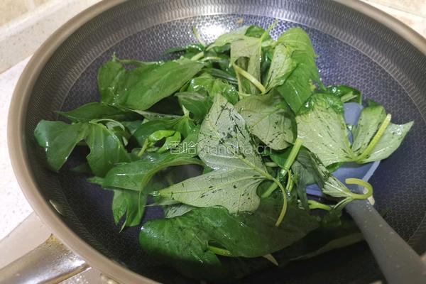 炒红薯叶的做法图解4