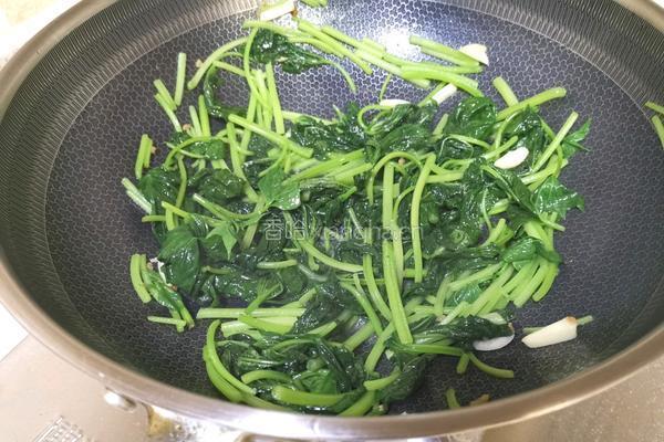 炒红薯叶的做法图解5