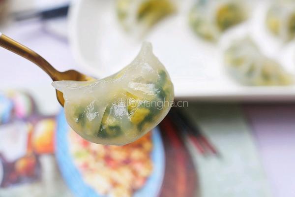 水晶韭菜鸡蛋饺子的做法图解18