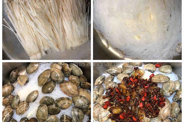 花蛤粉丝的做法图解4