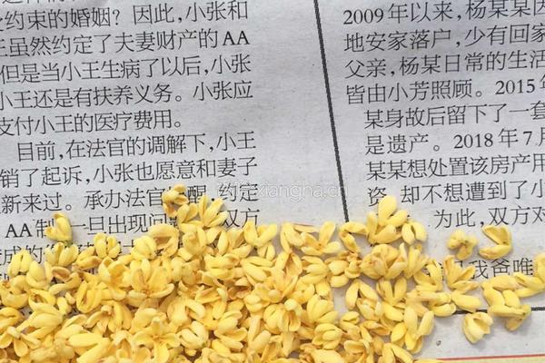 糖桂花的做法图解2