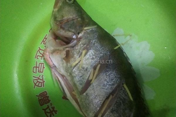 红烧桂鱼的做法图解1