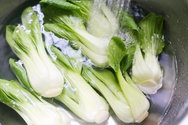 香菇油菜的做法图解4