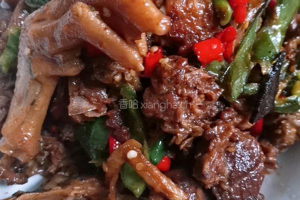 香辣啤酒鸭的做法图解7
