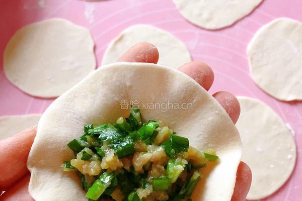 韭菜猪肉饺子的做法图解8