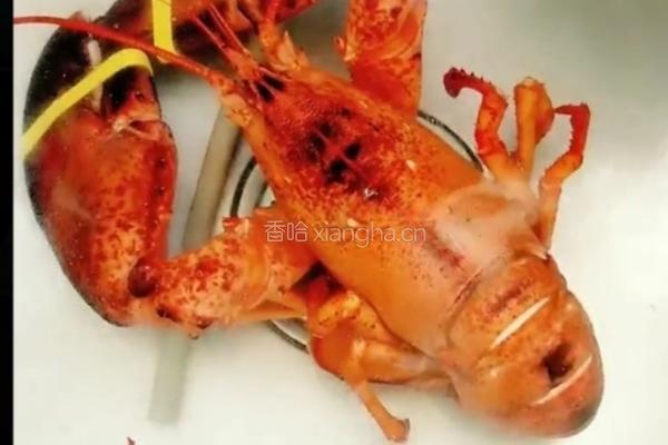 波士顿龙虾三吃的做法图解3