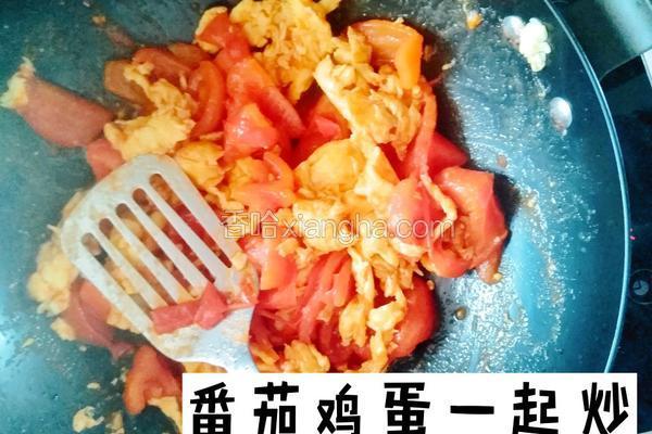 番茄炒蛋