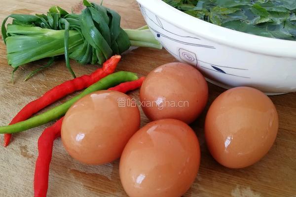  薄荷荞麦饼 的做法图解1
