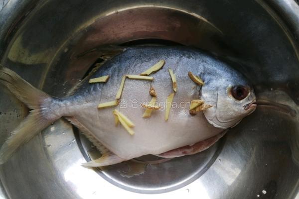 酱烧银鲳鱼的做法图解8