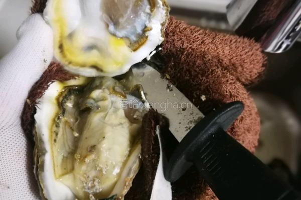 蒜蓉烤生蚝的做法图解3
