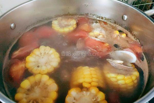 蛤蜊玉米番茄牛骨汤的做法图解12