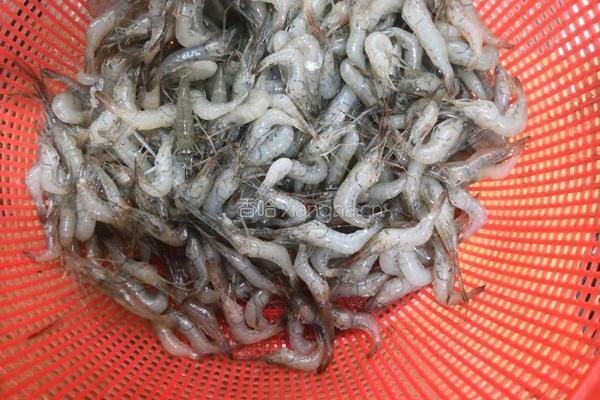 虾米毛豆仔的做法图解2