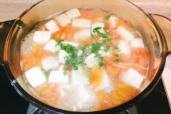 虾仁豆腐汤的做法图解11