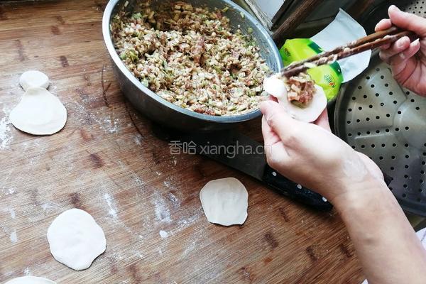 羊肉韭黄水饺的做法图解9