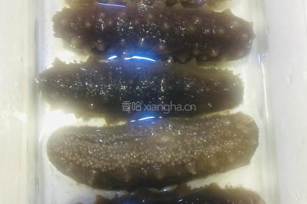 红烧海参的做法图解1