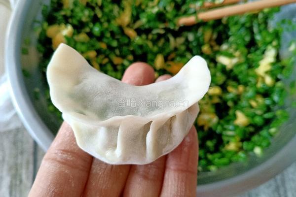 韭菜虾皮鸡蛋水饺的做法图解11