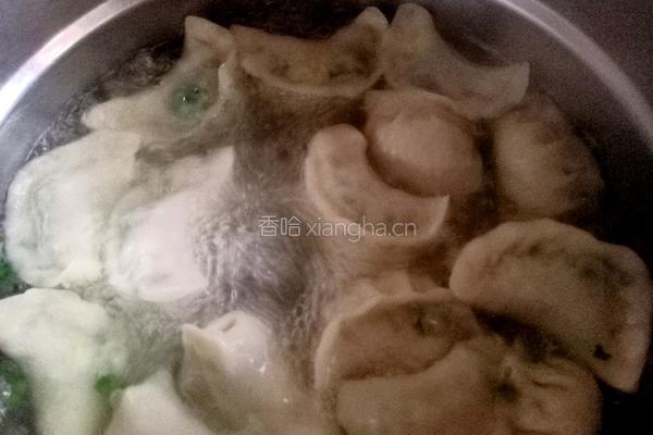 韭菜虾皮鸡蛋水饺的做法图解13