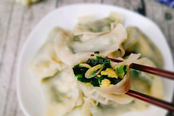 韭菜虾皮鸡蛋水饺的做法图解15