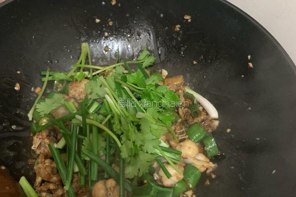 青椒炒田鸡的做法图解12