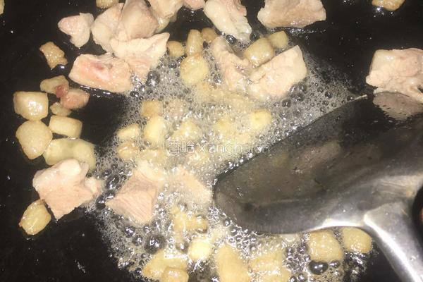 萝卜干焖猪肉的做法图解4