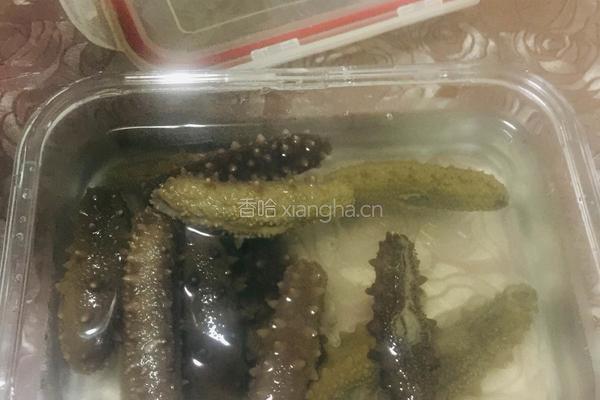 泡发海参的做法图解3