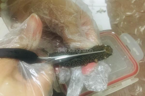 泡发海参的做法图解4