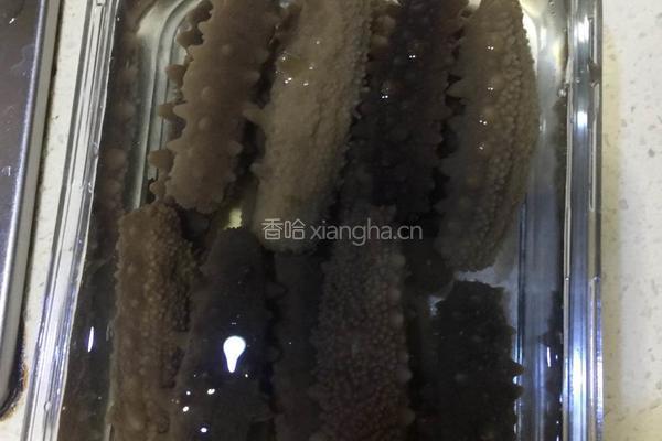 泡发海参的做法图解7
