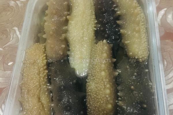泡发海参的做法图解9