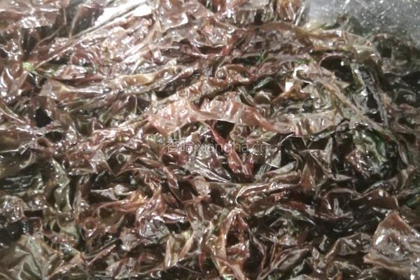炸鲜紫菜丸子的做法图解4